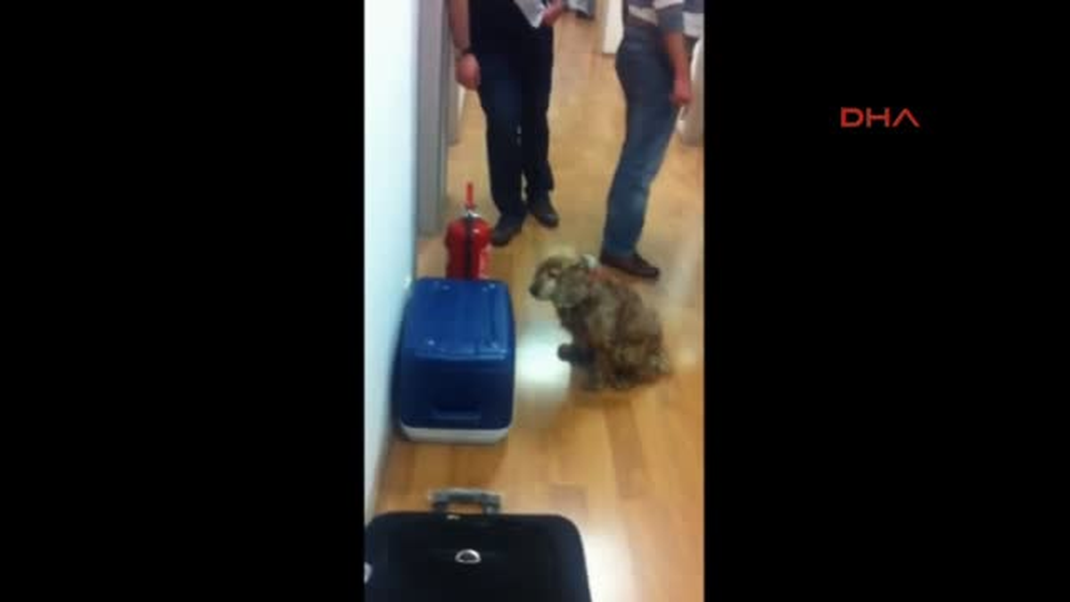 Tropikal Meyveler Arasından Kokain Çıktı