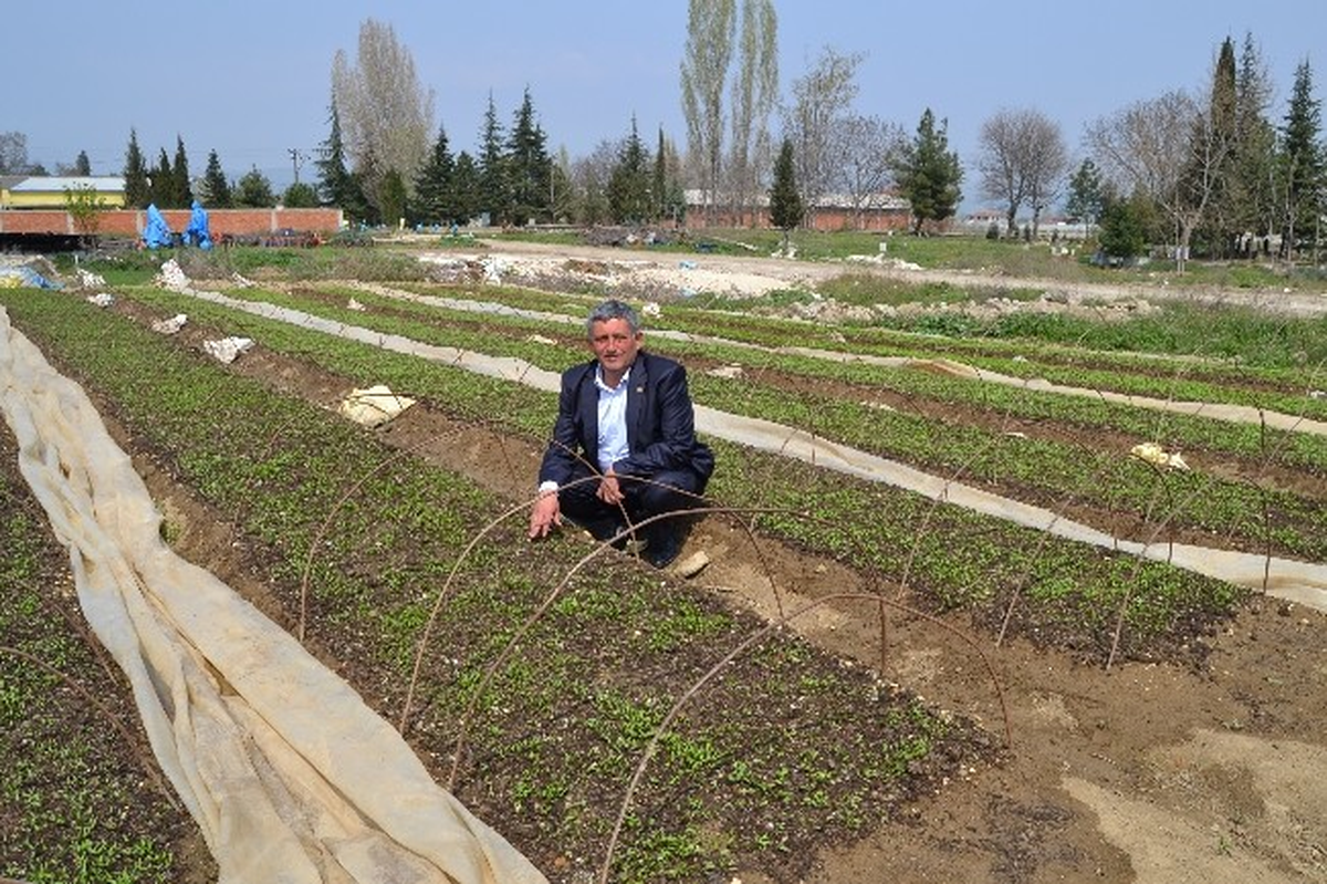 Yenişehirli Çiftçiler Sezona Umutlu Başladı