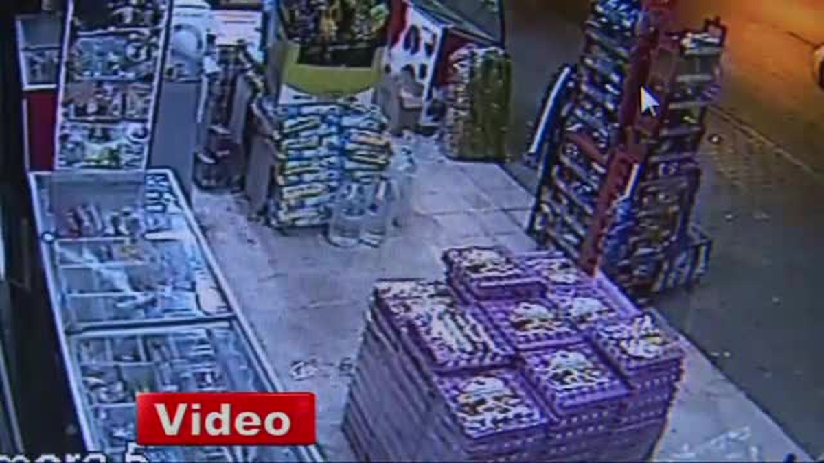 Yumurta Hırsızları Güvenlik Kamerasında