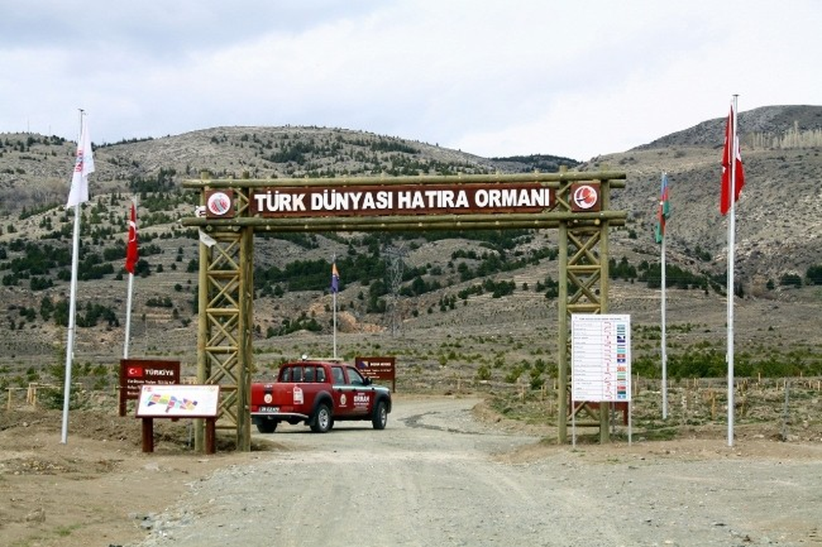Aman Fidanlar Kurumasın