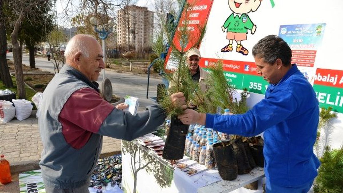 Atık Getirene Çam Fidanı