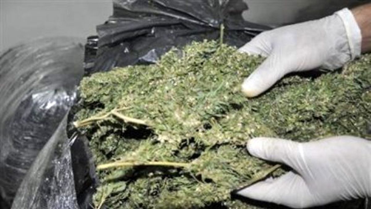 Malatya\'da 6 Kilogram Esrar Ele Geçirildi