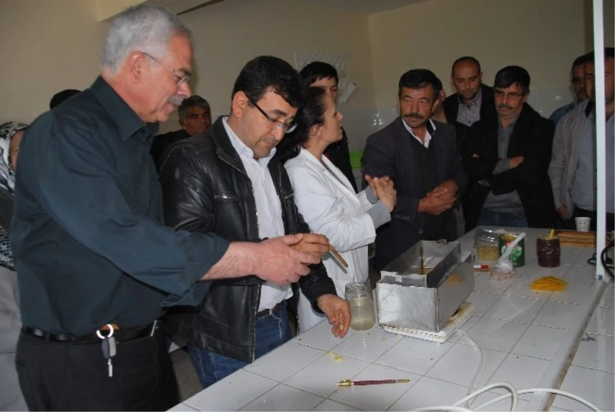 Aydın\'da Arıcılara "Ana Arı Yetiştiriciliği ve Arı Sütü Üretimi" Kursu Veriliyor