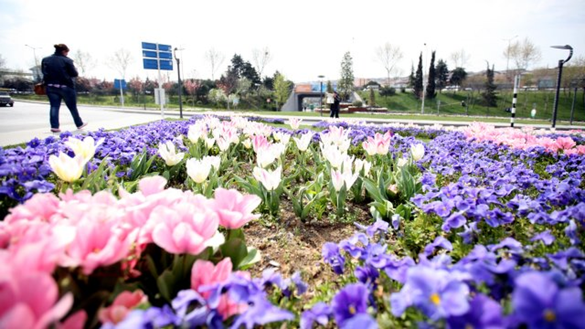 Esenler Çiçek Açtı