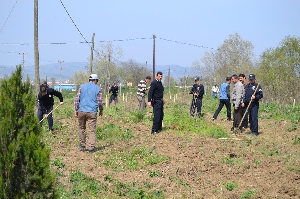 Ormanlar Polislerle Yeşeriyor