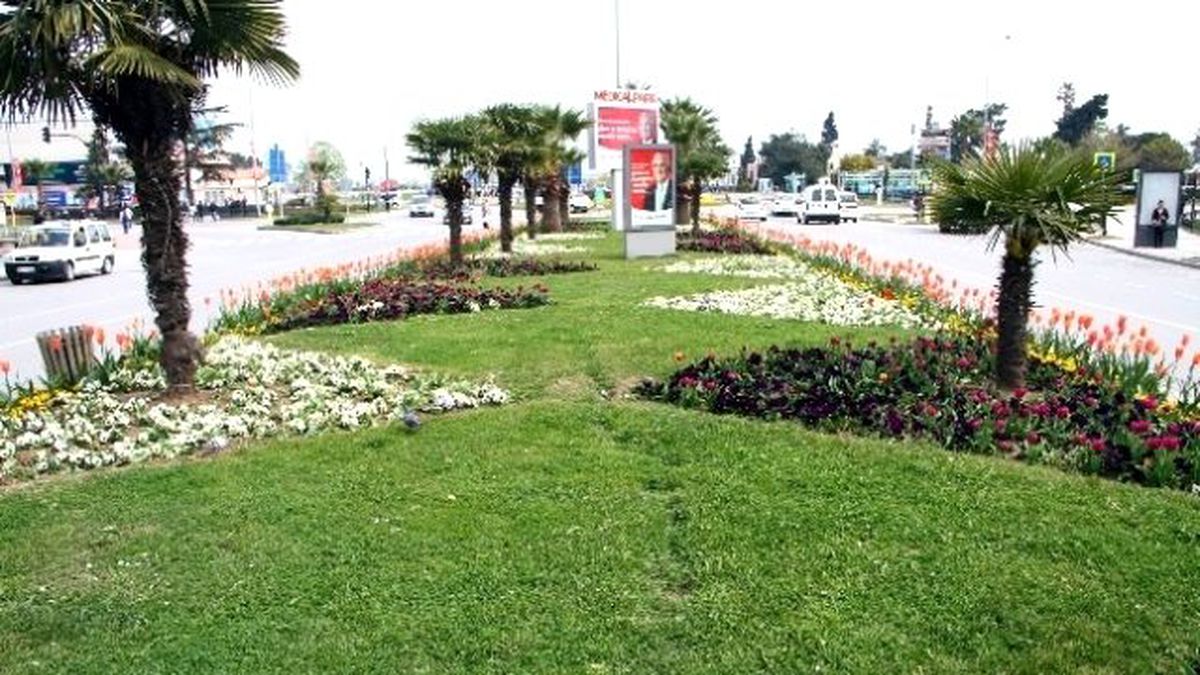 Samsun, Çiçek Açtı