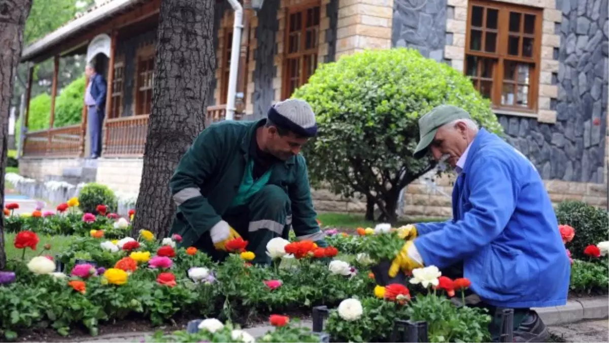 Bağcılar Lalesiyle Güzel