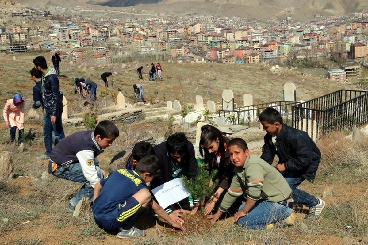 Hakkari\'de Yeşillendirme Çalışmaları