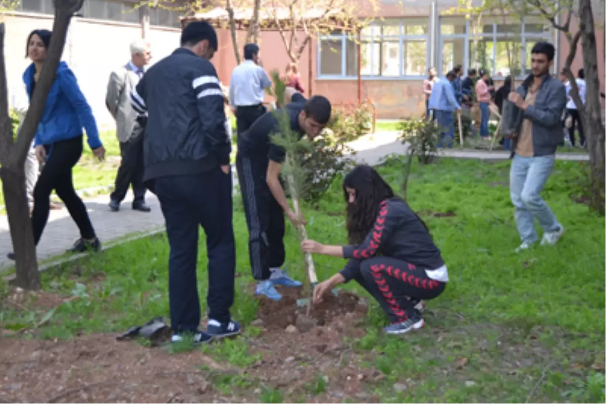 Dicle Üniversitesi Konservatuar Bahçesine Çam Fidanı Dikildi