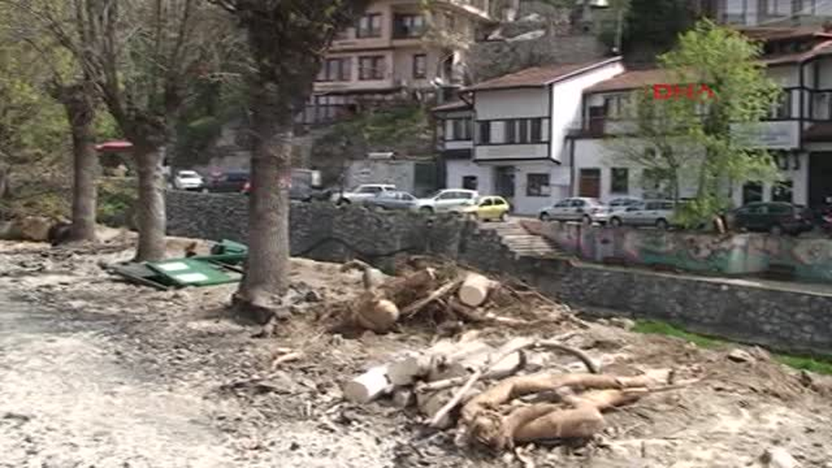 Prizren Belediyesi\'nin Park Onarımında Ağaç Kesmesi Tepki Çekti