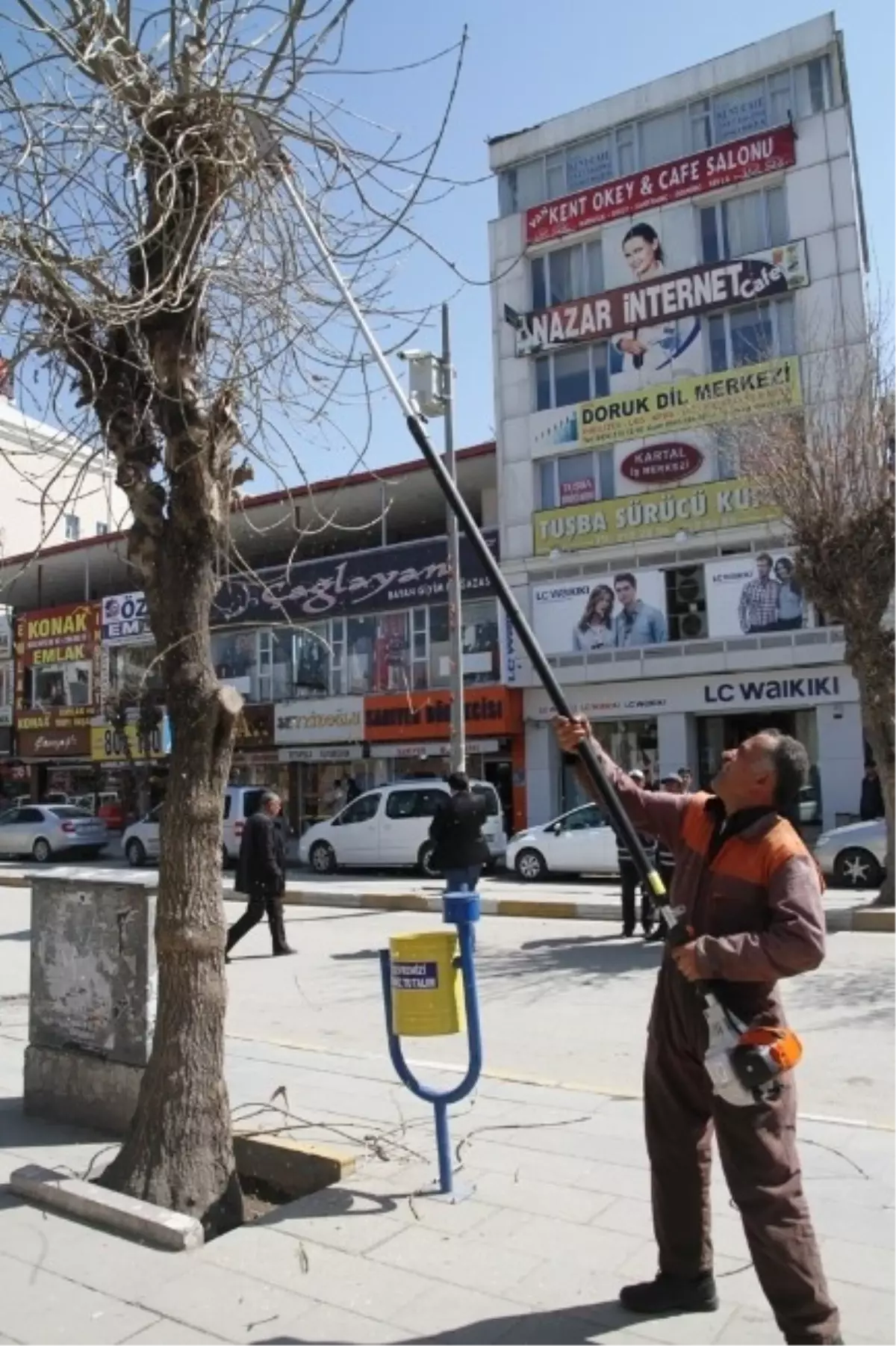 Van Belediyesi\'nden Bitki Bakım Çalışmaları