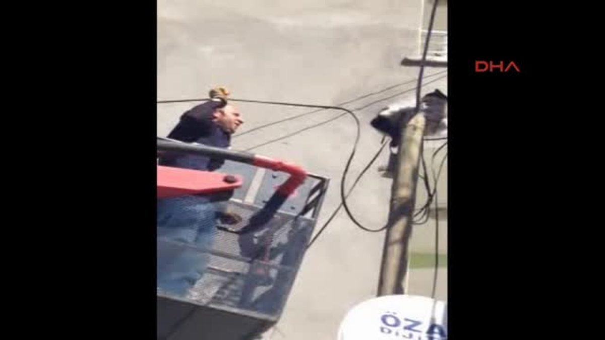 Direkte Mahsur Kalan Kediyi İtfaiye Kurtardı