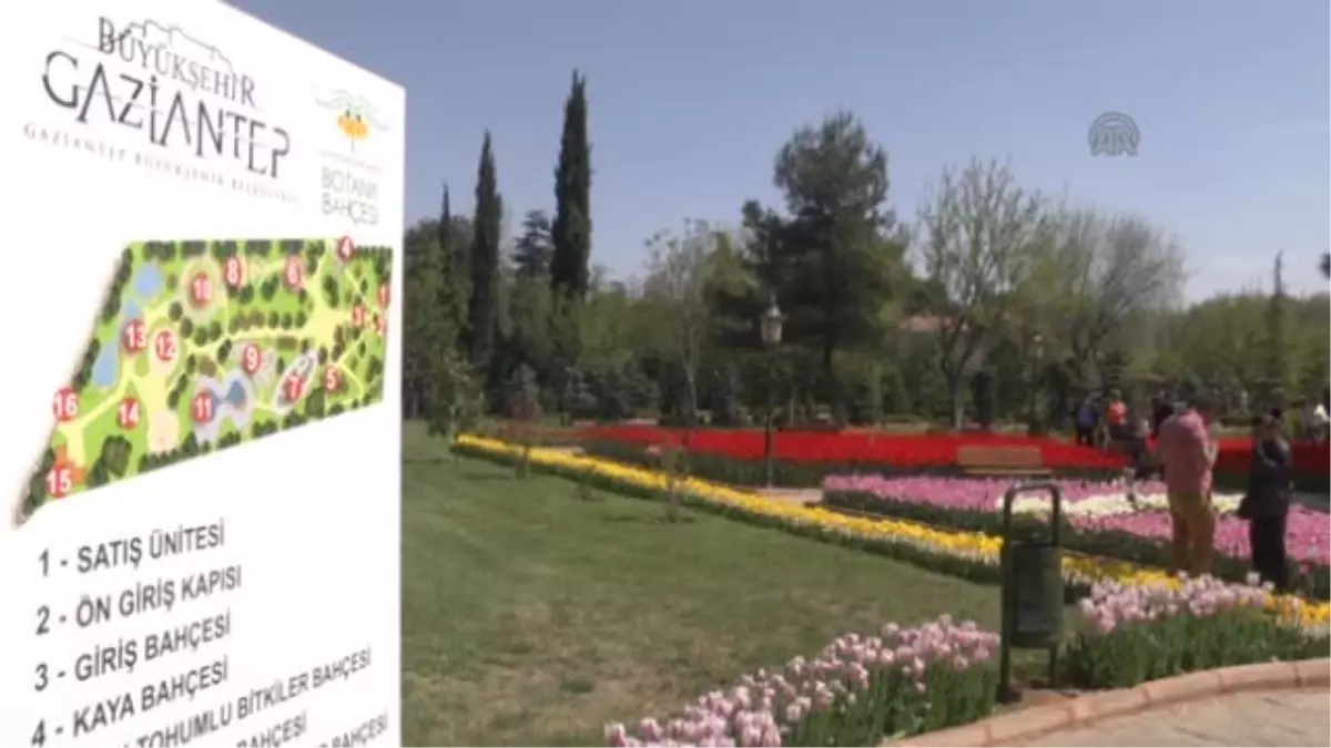 Gaziantep Botanik Bahçesi "çiçek açtı"