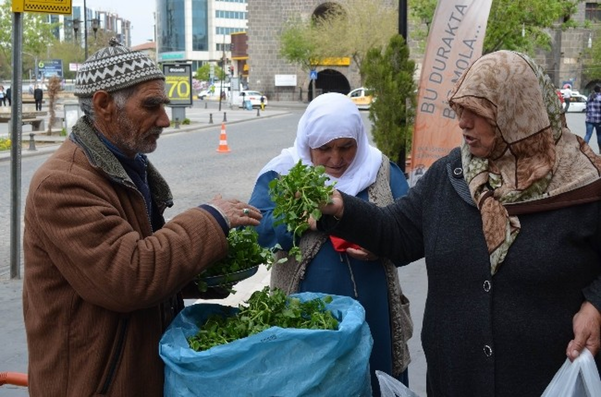 Geçimini Topladığı Bitkileri Satarak Sağlıyor
