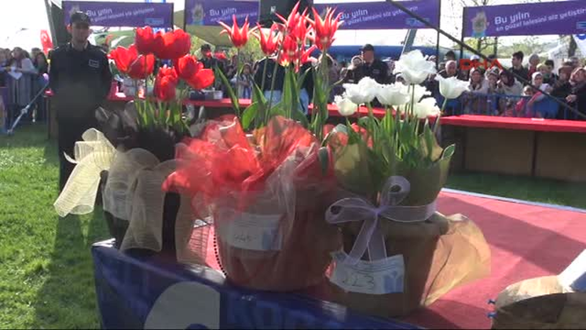 Kocaeli\'nde 7. Lale Festivalinde En Güzel Laleler Yarıştı