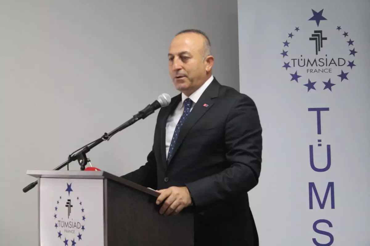 AB Bakanı ve Başmüzakereci Çavuşoğlu Açıklaması