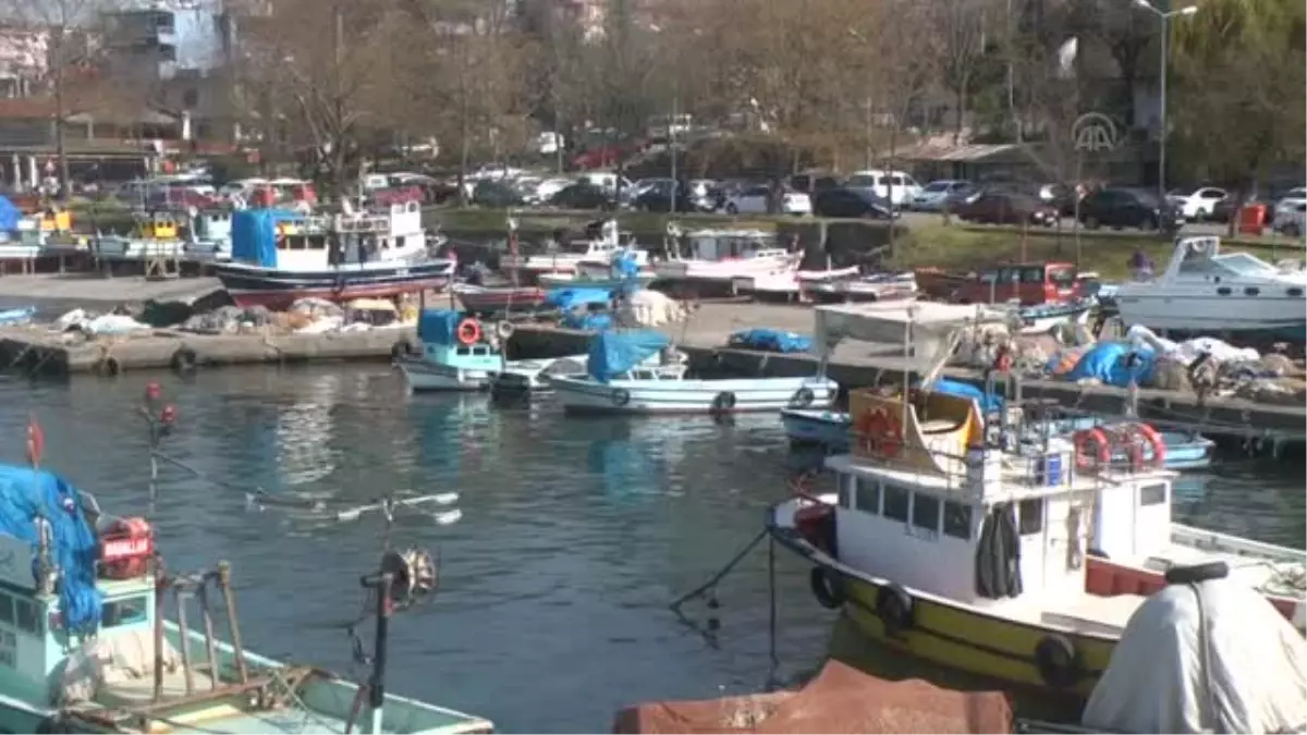 Batı Karadenizli balıkçılar, sezonu erken kapattı -