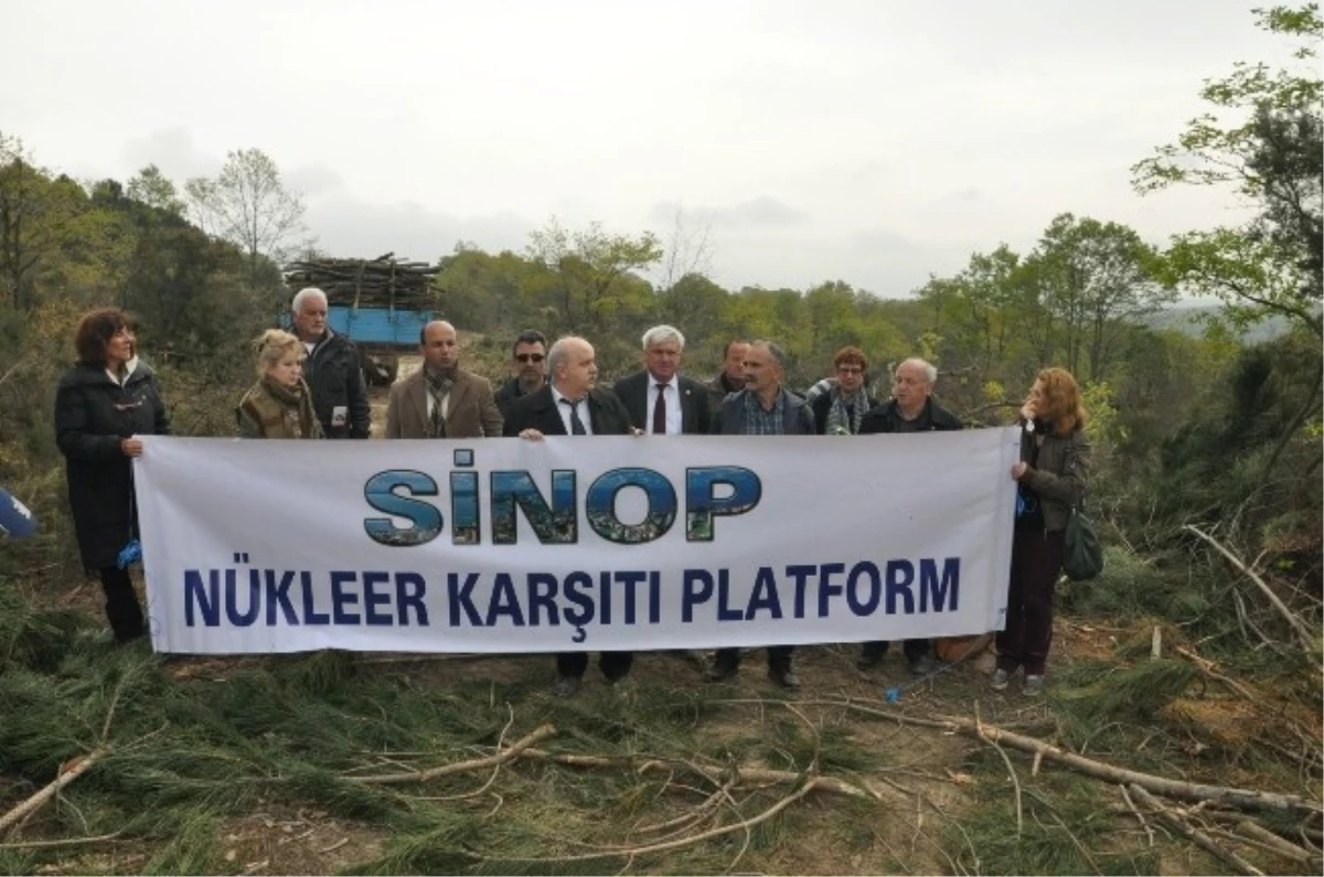 Çevreciler Sinop Nükleer Sahasında Ağaçların Kesilmesini Protesto Etti