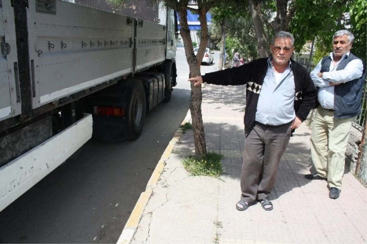 Ahmet Cengiz Çöp Konteyneri Yanında Ölü Bulundu