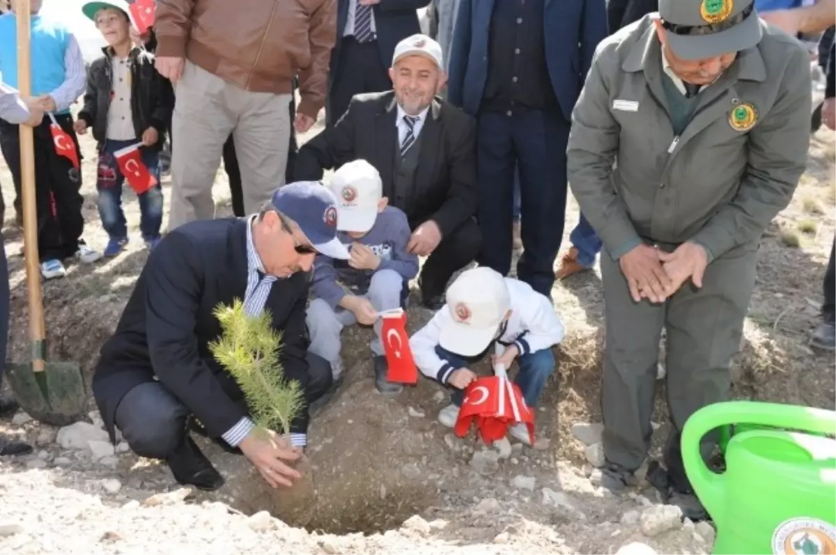 Galibi Vakfı Üyeleri Fidan Dikti