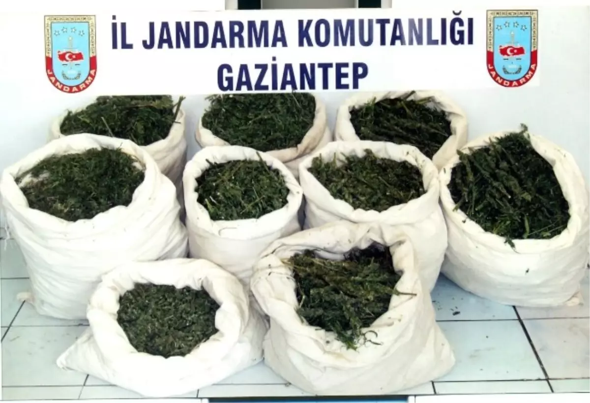 Gaziantep\'te Jandarma Yılın İlk 3 Ayında Kaçakçılara Geçit Vermedi