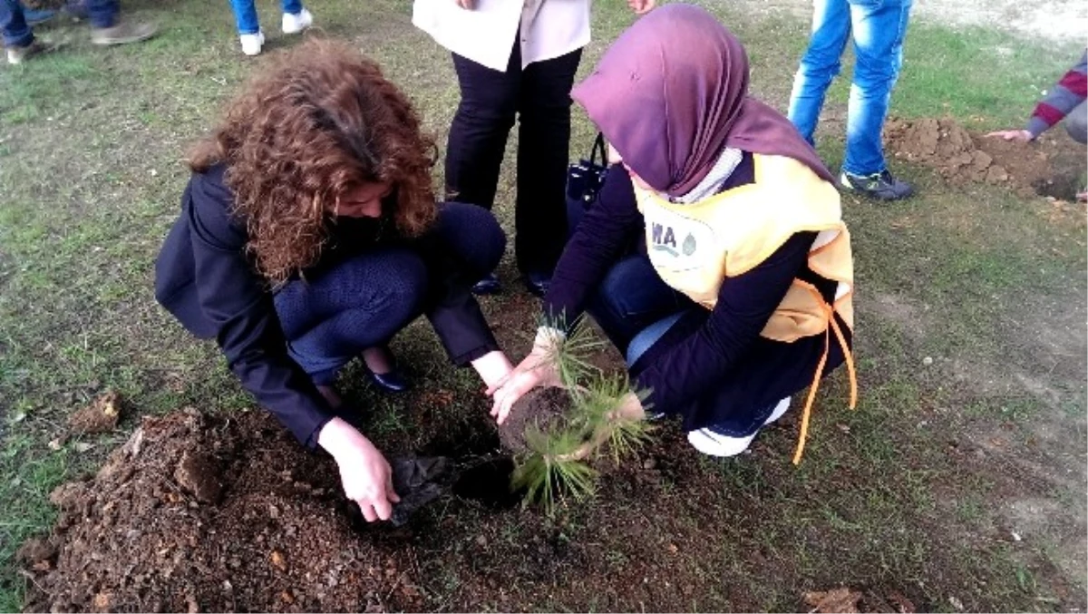 Tema Üyeleri Üniversiteye Fidan Dikti