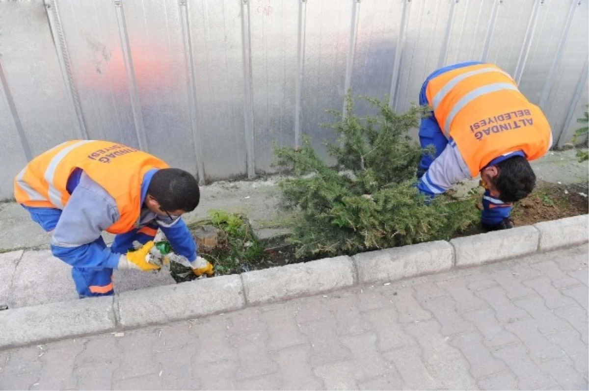 Zübeyde Hanım Mahallesi\'nde Bahar Temizliği