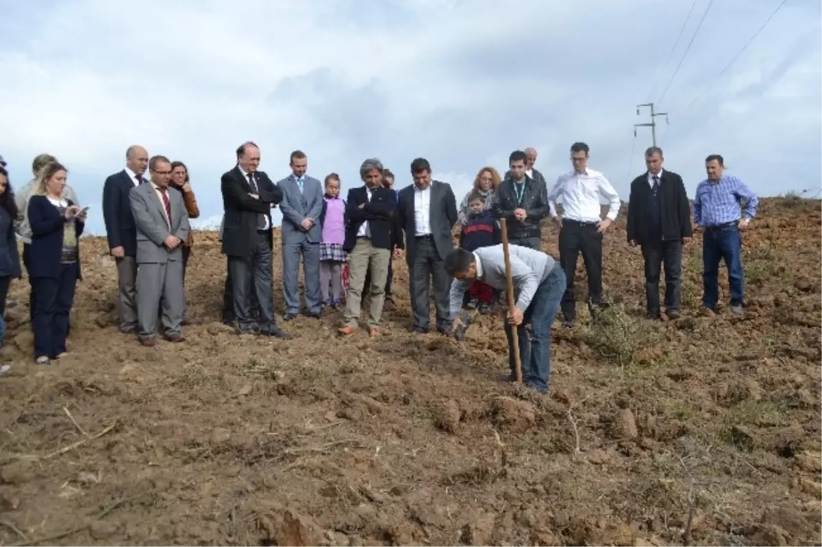 Biga Devlet Hastanesi Çalışanları Fidan Dikti