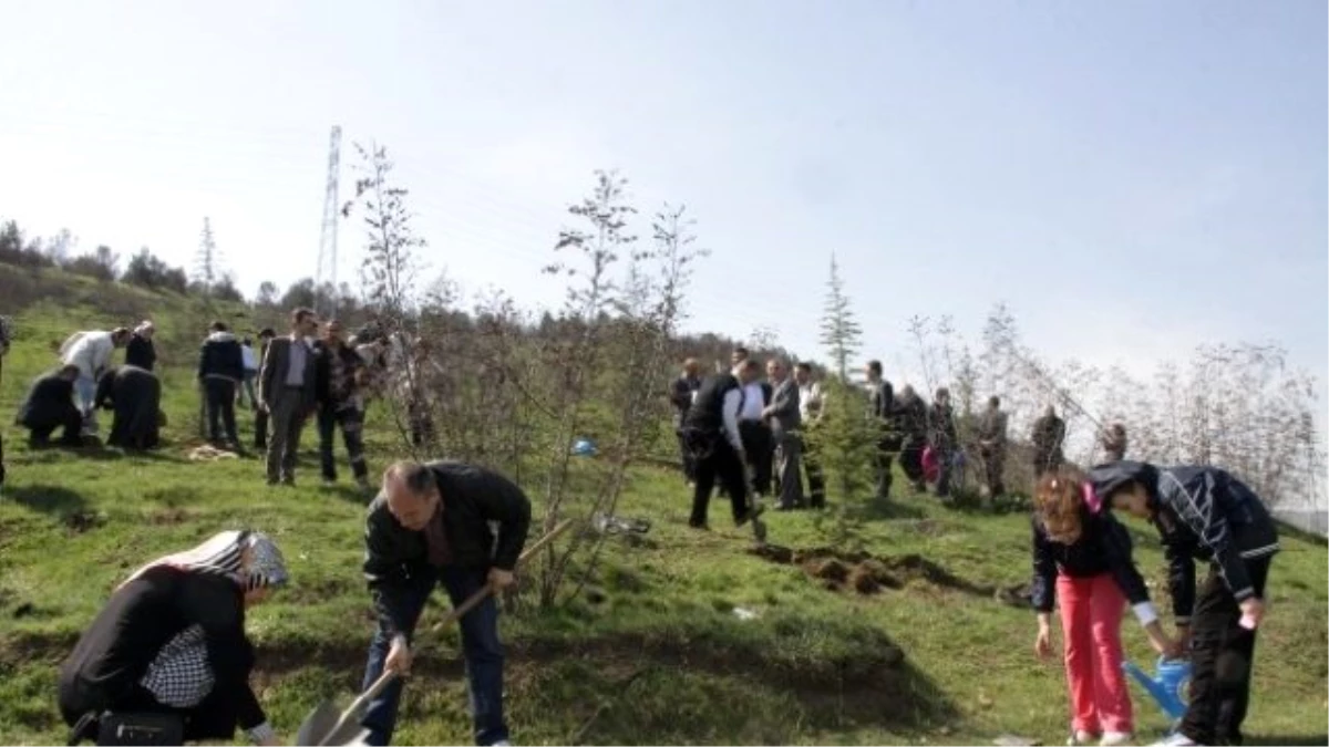 Biga Devlet Hastanesi Personeli Fidan Dikti