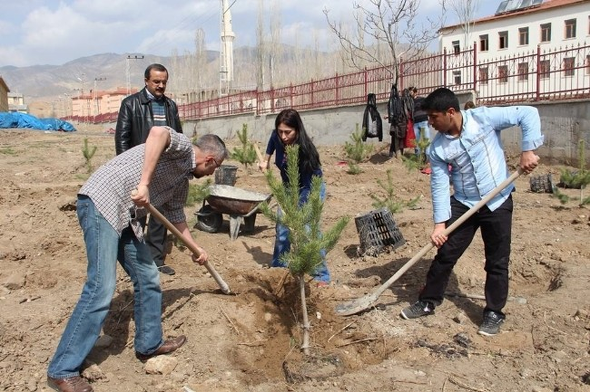 Oltu Yer Bilimleri Fakültesi Kampus Alanı Ağaçlandırılıyor