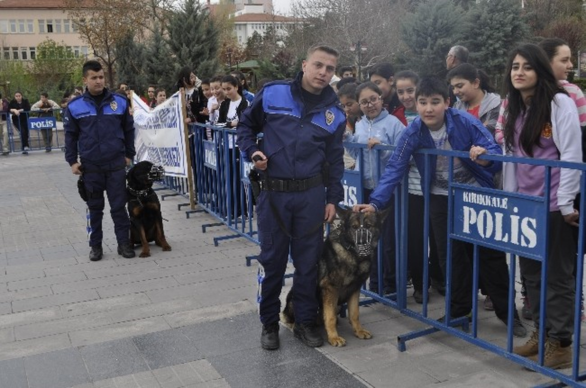 Polis Köpeklerinin Gösterisi Nefes Kesti