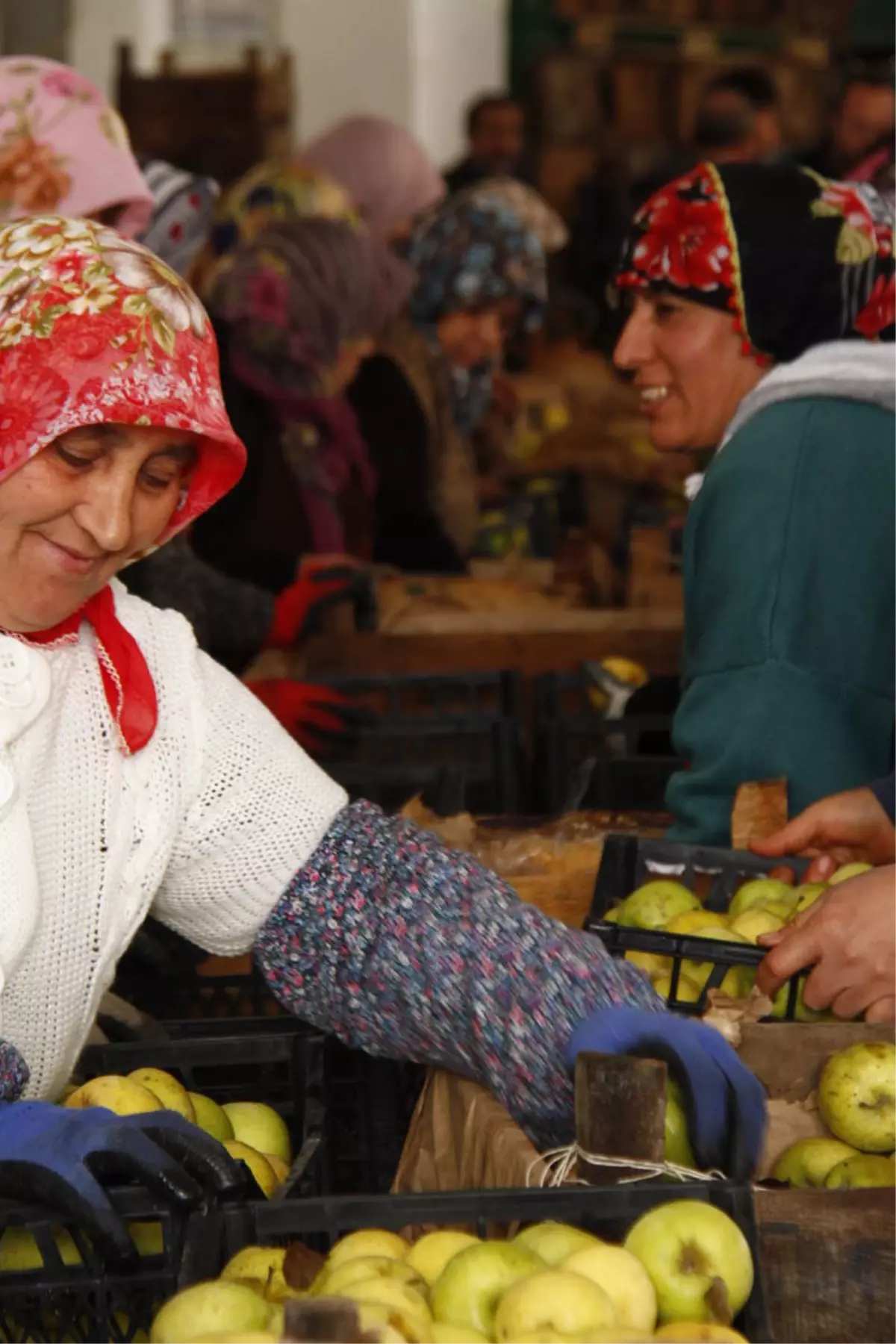 Soğuk Hava Depolarındaki Elmalar İhracatla Eriyor