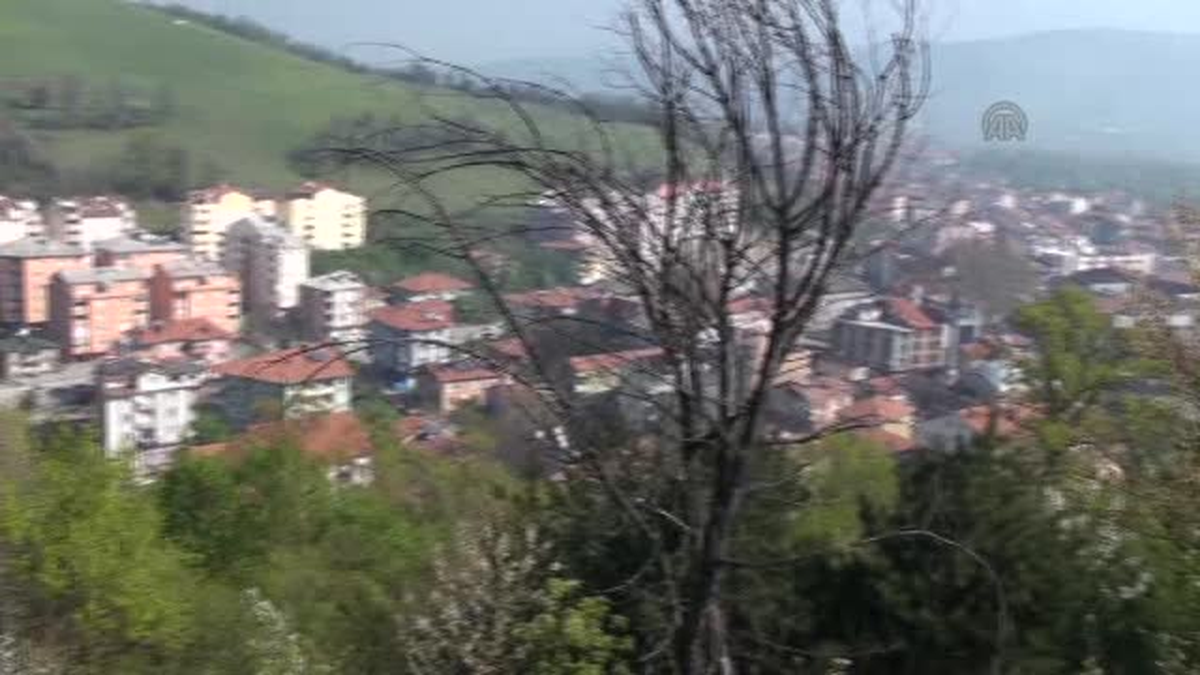 Babasının bıraktığı başkanlık koltuğuna 41 yıl sonra oturdu -