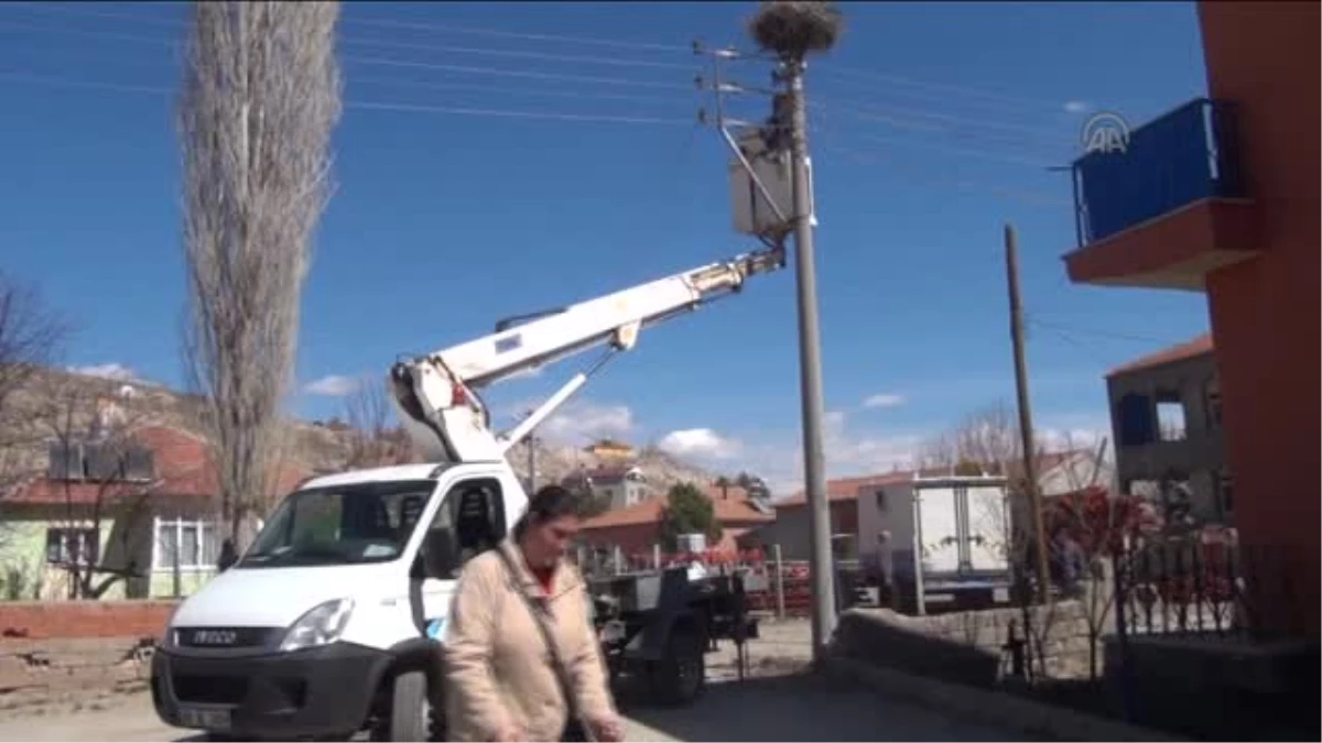 ÇEDAŞ ekipleri, leylek yuvalarını düzenledi -