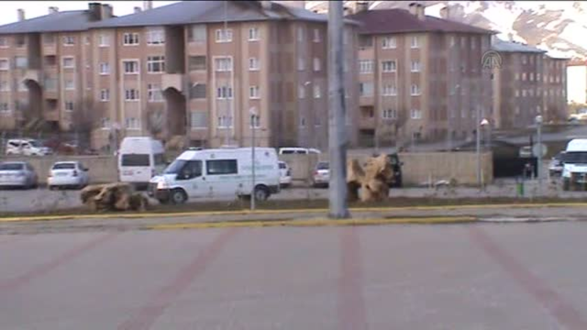 Kazada hayatını kaybeden polis memuru için tören düzenlendi -