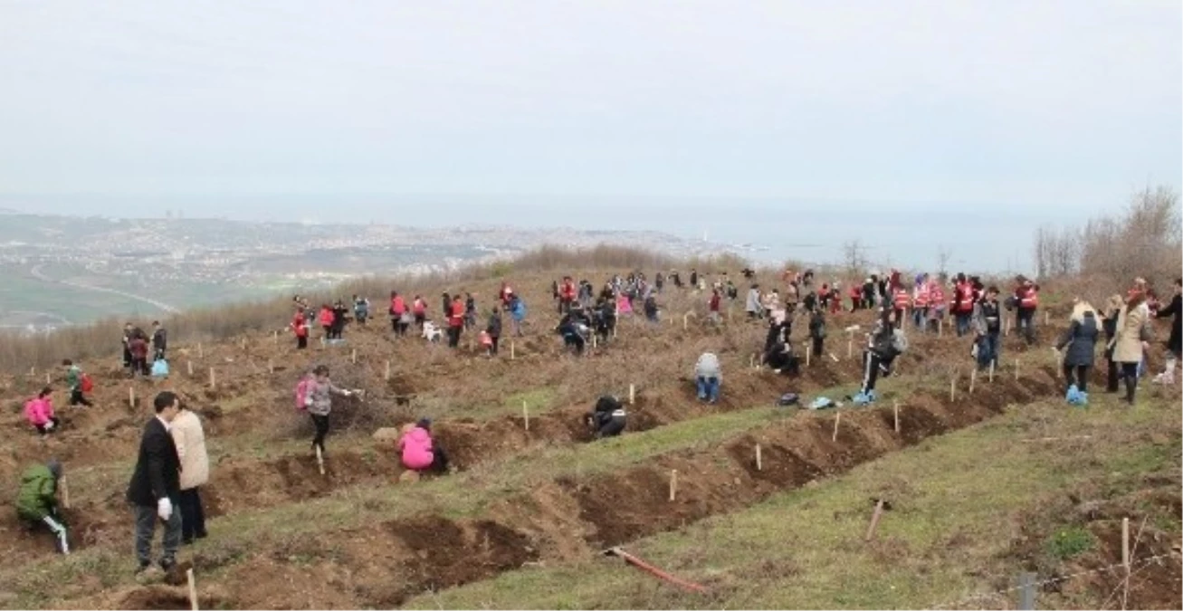 Öğrenciler Kermes Geliriyle 2 Bin Fidan Dikti