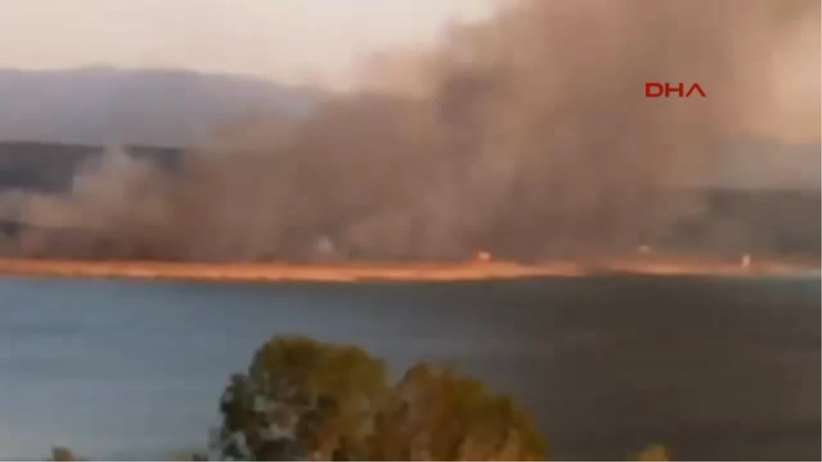 Sapanca Gölü Kıyısında Sazlık Yangını