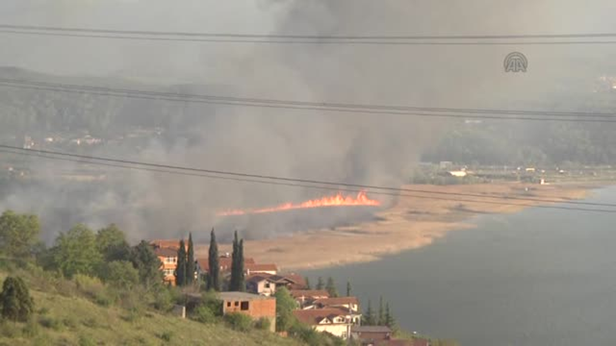 Sapanca Gölü\'nde sazlık yangını -
