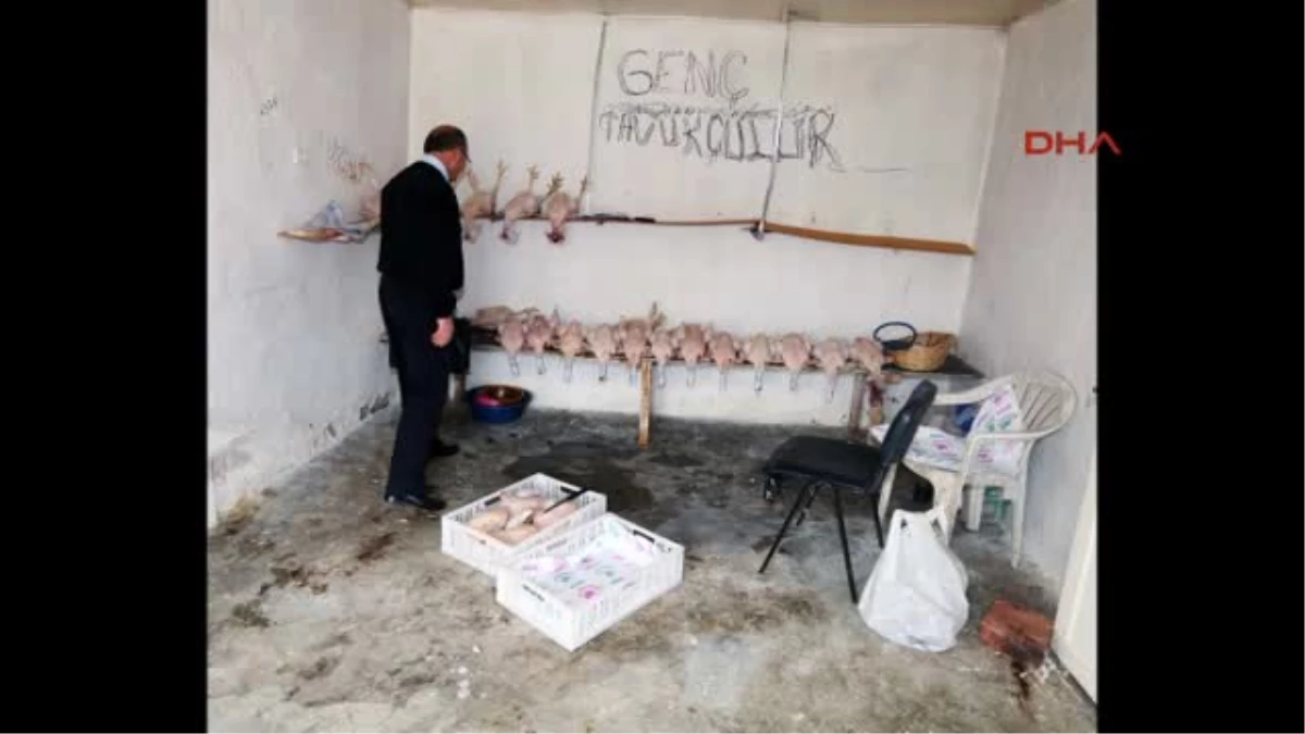 Ankara\'da Kaçak Tavuk Kesimi Yapanlara Operasyon