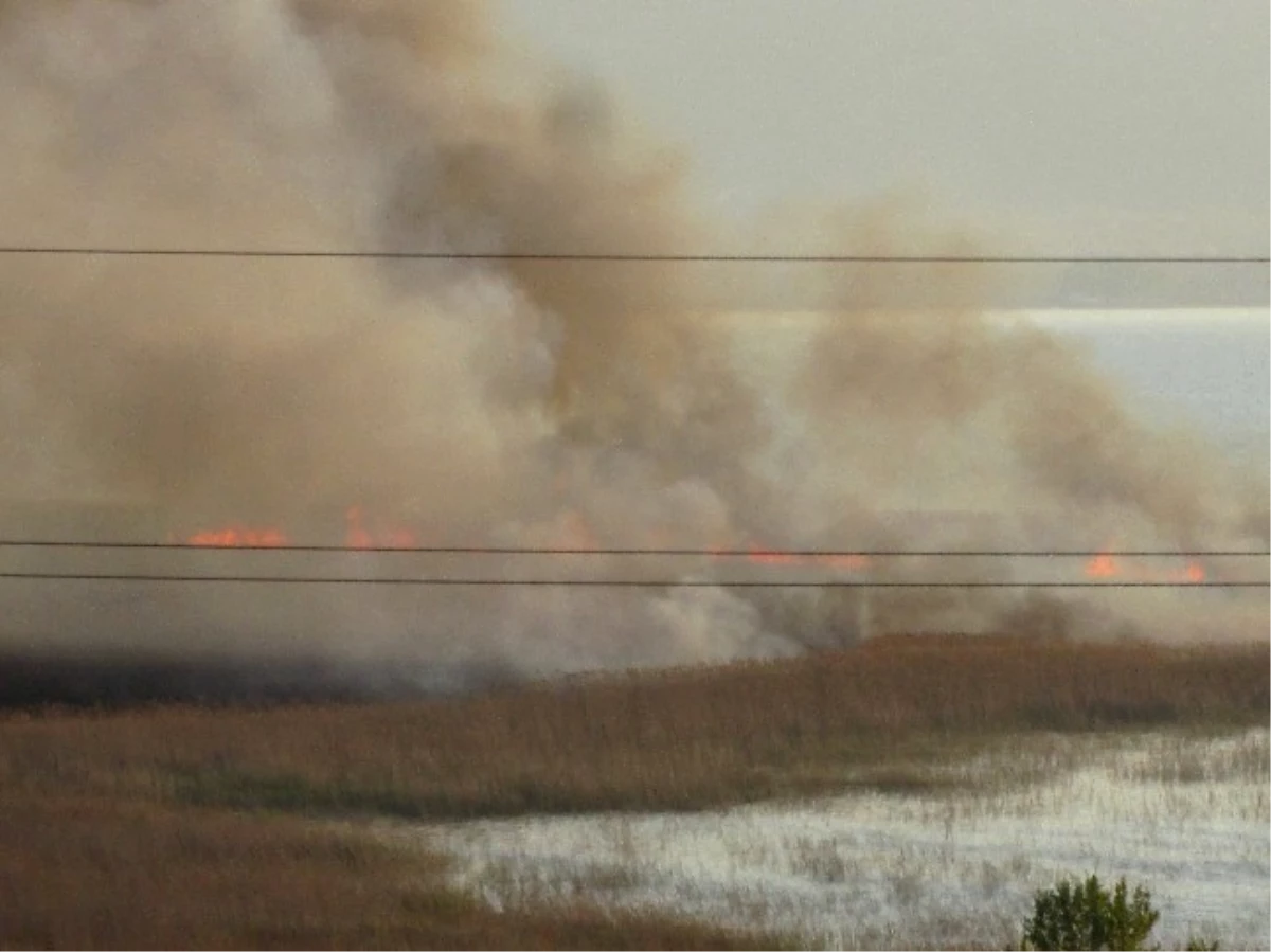 Sapanca Gölü Sazlık Alanında Yangın