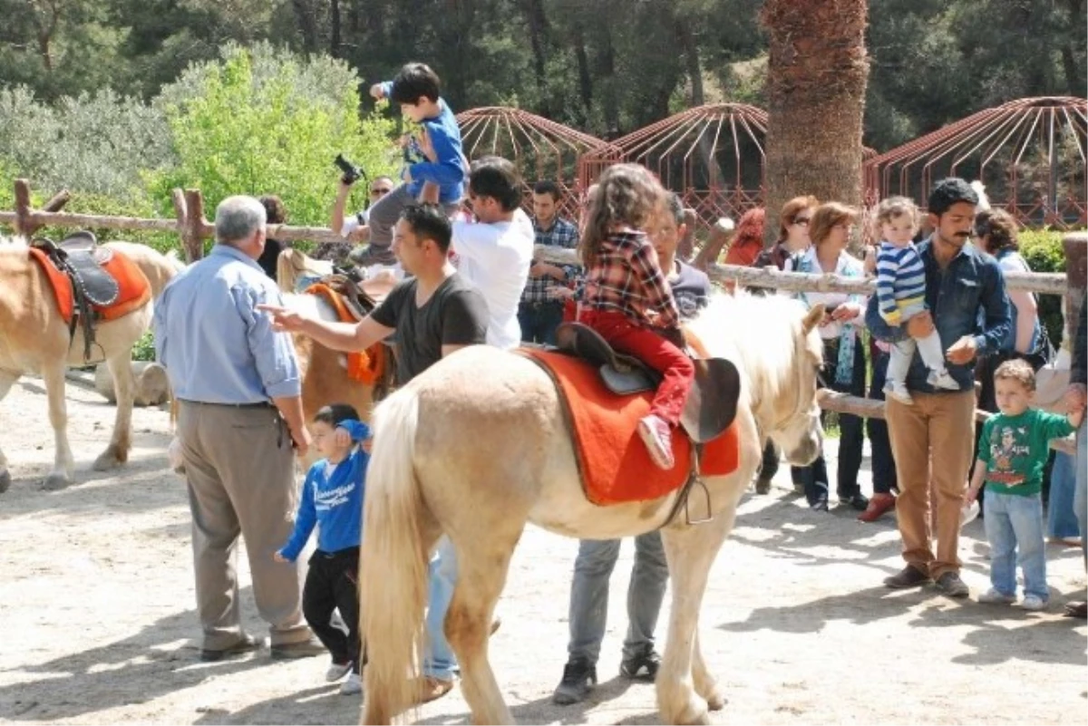 Edremitli Fotoğraf Tutkunları Kazak Vadisi\'ni Görüntüledi