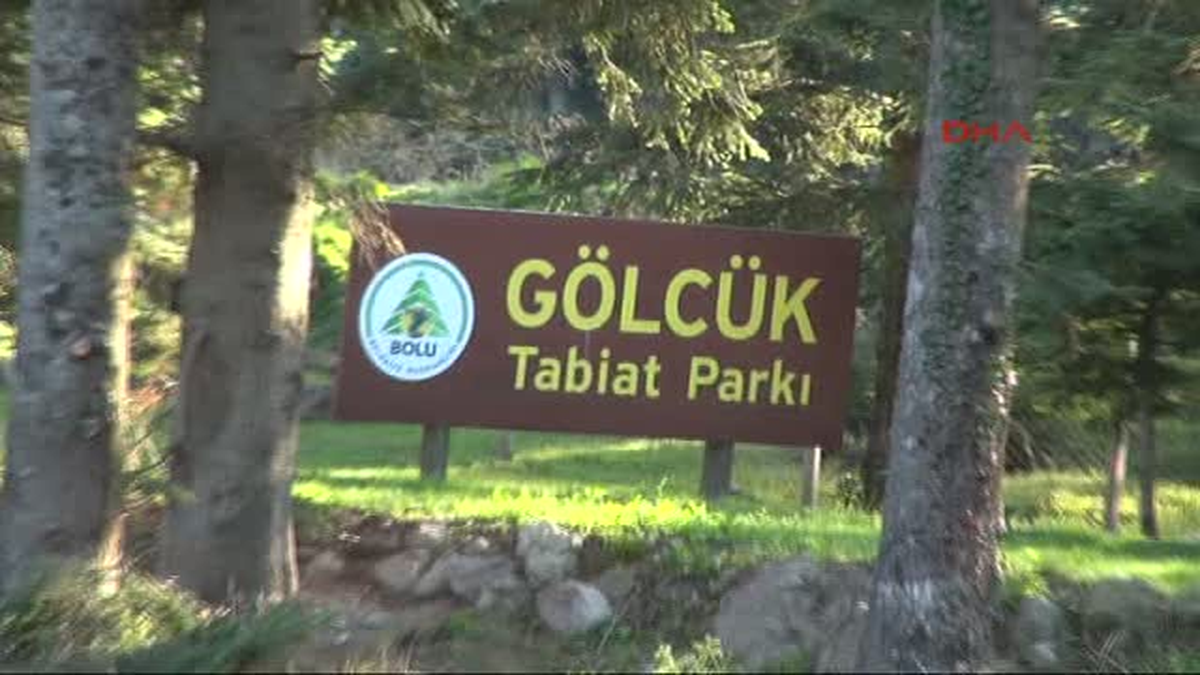 Tabiat Parkında Yol Açmak İçin Ağaçları Kestiler