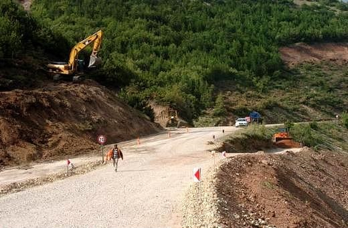 Tabiat Parkında Yol Açmak İçin Ağaçları Kestiler