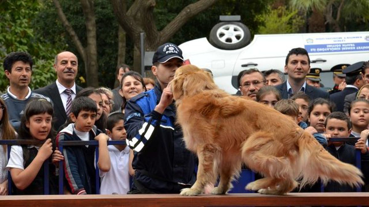 Türk Polis Teşkilatının Kuruluşunun 169. Yıl Dönümü