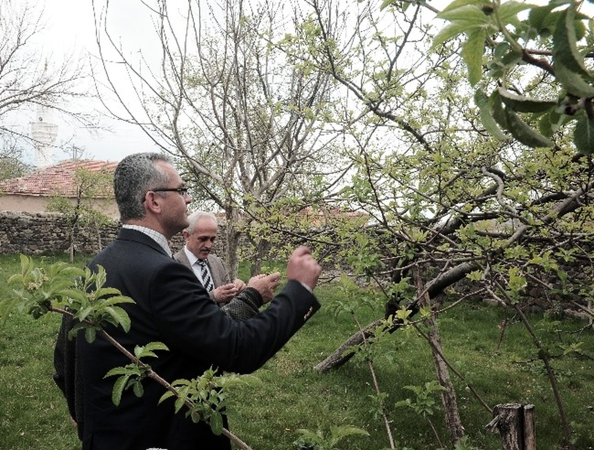 Yozgat\'ta Don Olaylarından Zarar Gören Tarım Alanlarından Zarar Tespit Çalışmaları Sürüyor