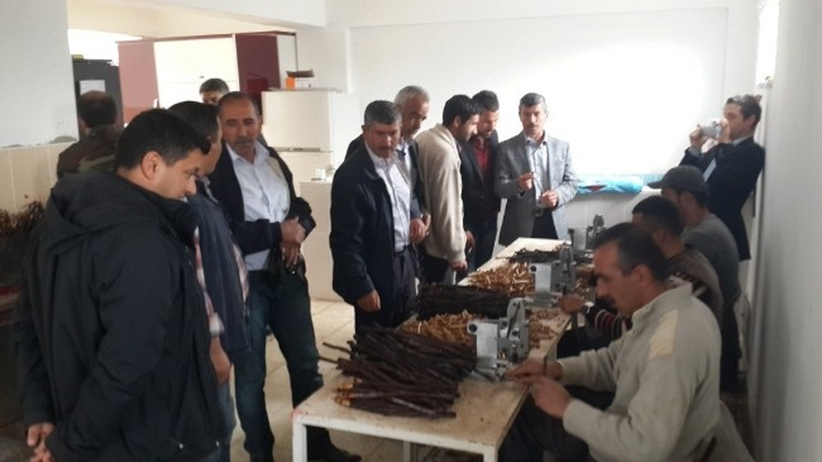 Araştırma-Yayım-Çiftçi Bağının Güçlendirilmesi Çalışmaları