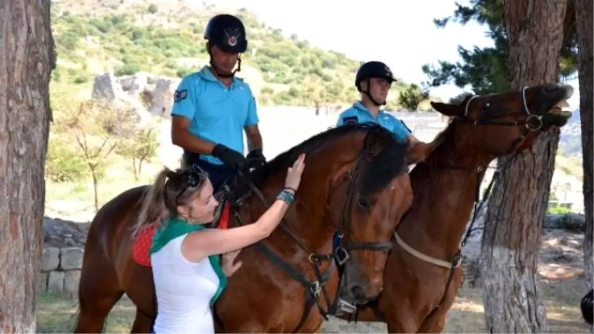 Jandarma Atlı Birlikleri, Yarımadada Göreve Başladı