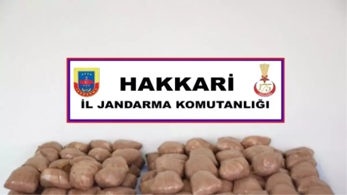 Hakkari\'de 41 Kilo 310 Gram Toz Esrar Ele Geçirildi