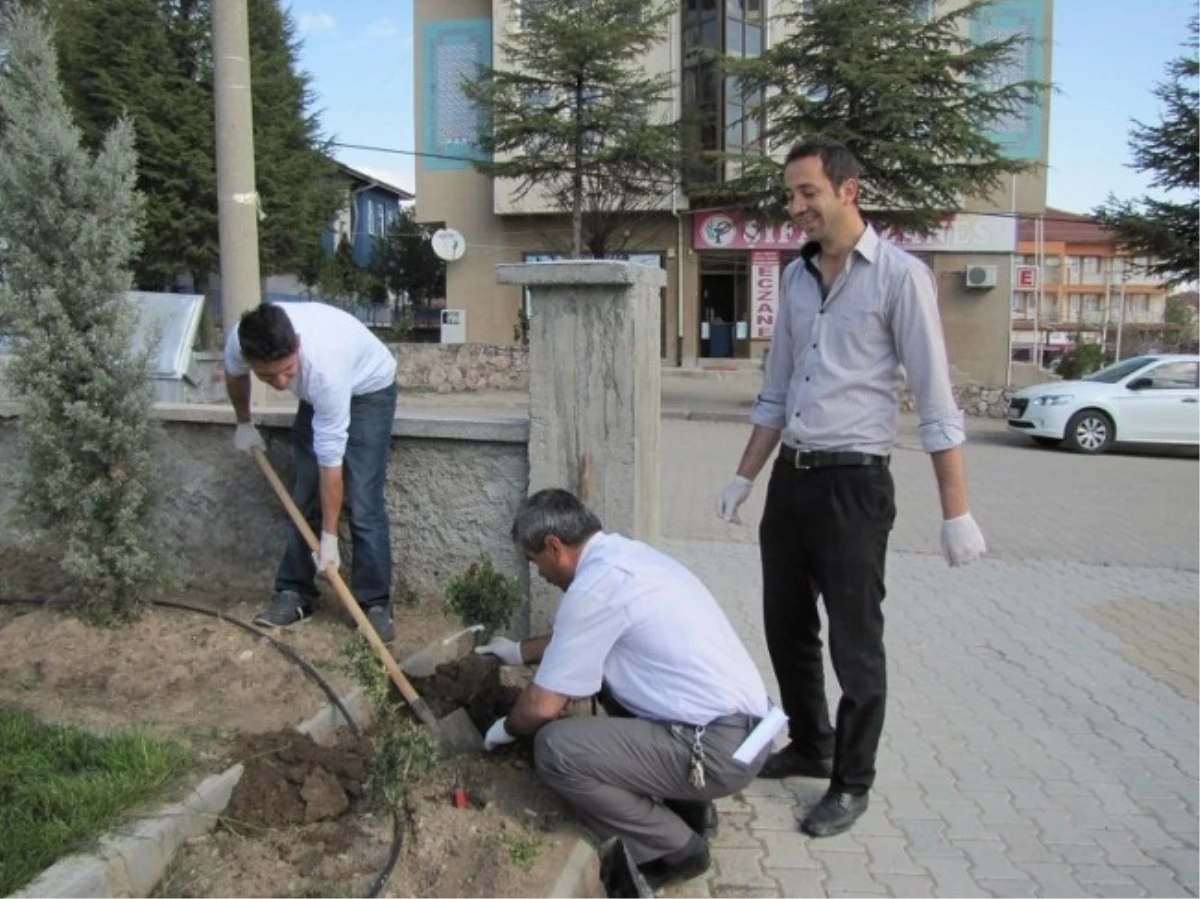 Hisarcık Devlet Hastanesi Bahçesinde Ağaçlandırma Çalışması
