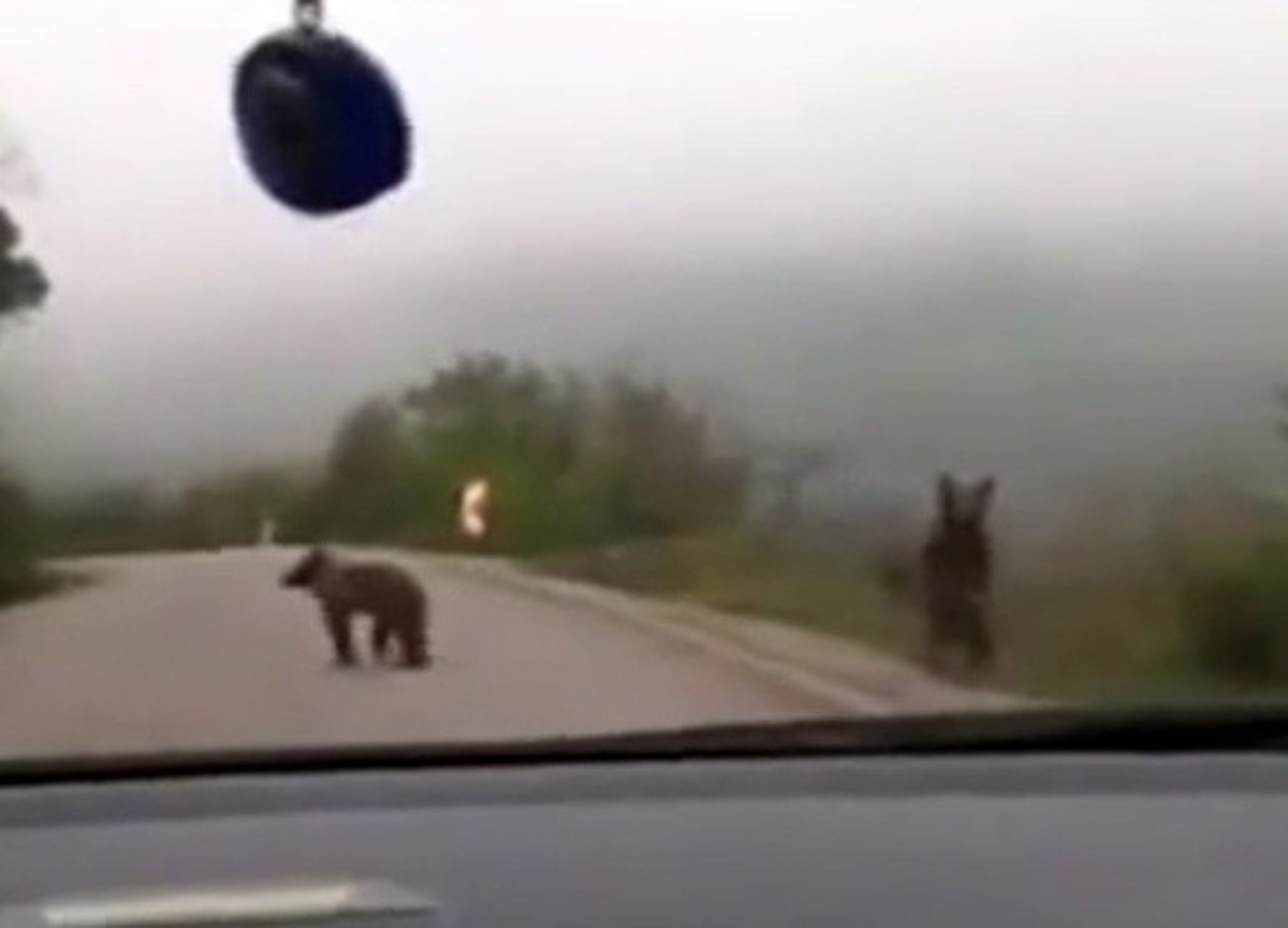 Kastamonu\'da Efsane Söz Gerçek Oldu
